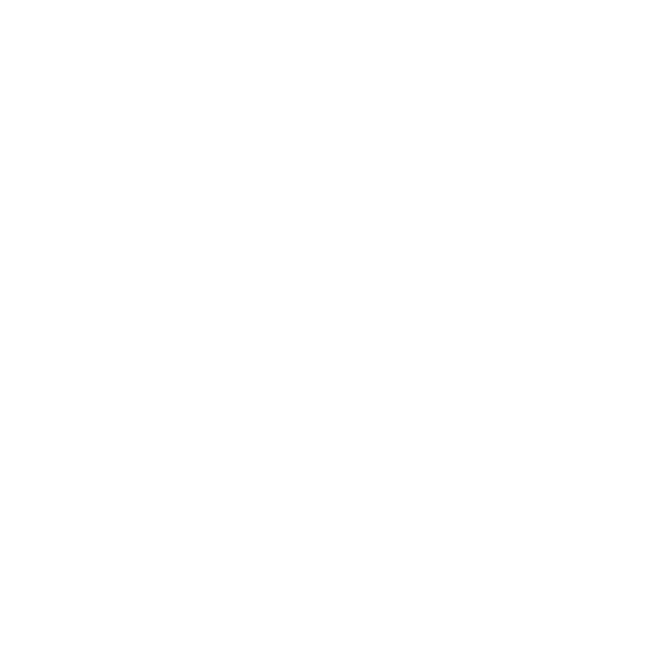 Coachopleiding Nederland